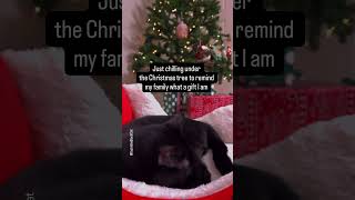 And They Are To Me Credit Inspired By