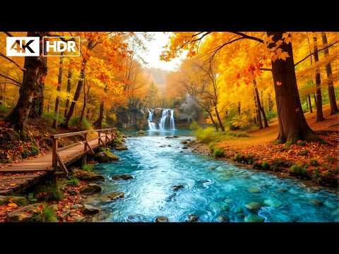 Soothing Autumn Melodies 🍁 Relaxing Music for Stress Relief, Emotional Healing & Deep Sleep
