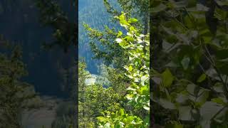 Tantalus lookout #trendingreels #trendingvideo #trendingshorts #travel #nature #glacier #trending