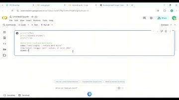 Codingan sederhana Google collab biodata pribadi