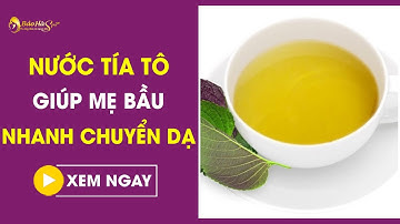 Uống nước lá tía tô giúp cổ tử cung mở 5 phân trong 1 tiếng| Chuyển dạ khi sinh bé| Bảo Hà Spa