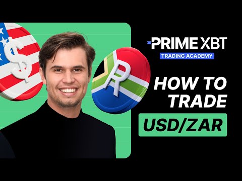 Fees PrimeXBT Explained 101