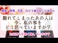 【タロット】疎遠、停滞、失恋などで遠くなってしまったお相手は今あなたをどう思っている?あの人の今の心の中を深堀りします💓#復縁、#恋愛#タロット占い