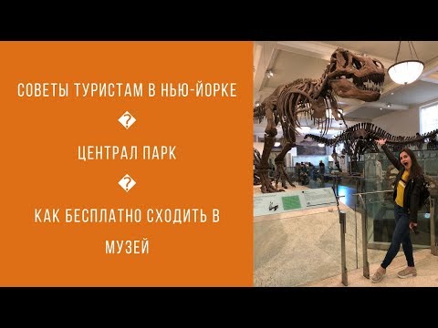 Выпуск#7 Американский музей естествознания | Централ парк | Музеи бесплатно | Советы туристам