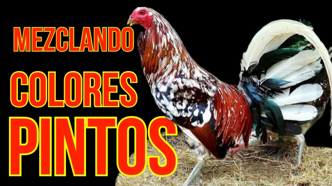 APRENDE A COMO MEZCLAR COLORES