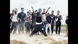 Seyi Vibez - SHAOLIN (Dance Video)