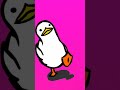Funny duck x fimpa fimpa fimpa 🤣🤣