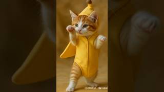 🍼🐱 dudi dudi dum dum cat shorts #ai #shortsfeed #viralcuts