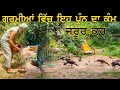        keep water for birds sant darshan singh ji tapoban dhakki sahib