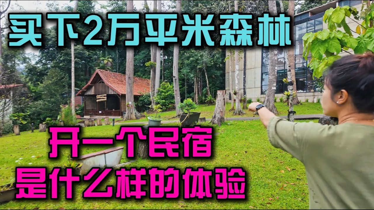 在马来西亚Bukit Tinggi深山买下2万平米土地，建了一个与世隔绝的民宿是种什么样的体验！太疯狂了！