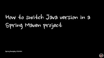 How to switch Java version in a Spring Maven project