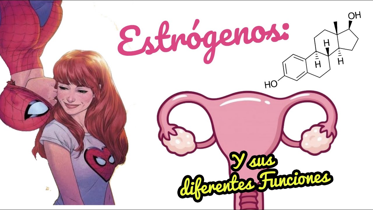 ESTRÓGENOS y sus FUNCIONES by Oliver YouTube
