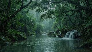 Drift Into Deep Sleep With Heavy Rain Over A Flowing Forest Stream | Relaxing ASMR Nature Sounds