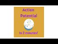 Understanding Action Potentials