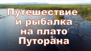 Путешествие и рыбалка на плато Путорана