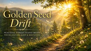 Golden Seed Drift 🌲🌾| Peaceful Forest Piano Music for Relaxation, Sleep & Meditation