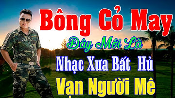 Bông Cỏ May, Xin Trả Tôi Về - Công Tuấn ...LK Rumba Hải Ngoại Vượt Thời Gian, Đắm Say Bao Thế Hệ
