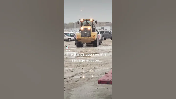 The things you see at salvage auctions!! #shorts