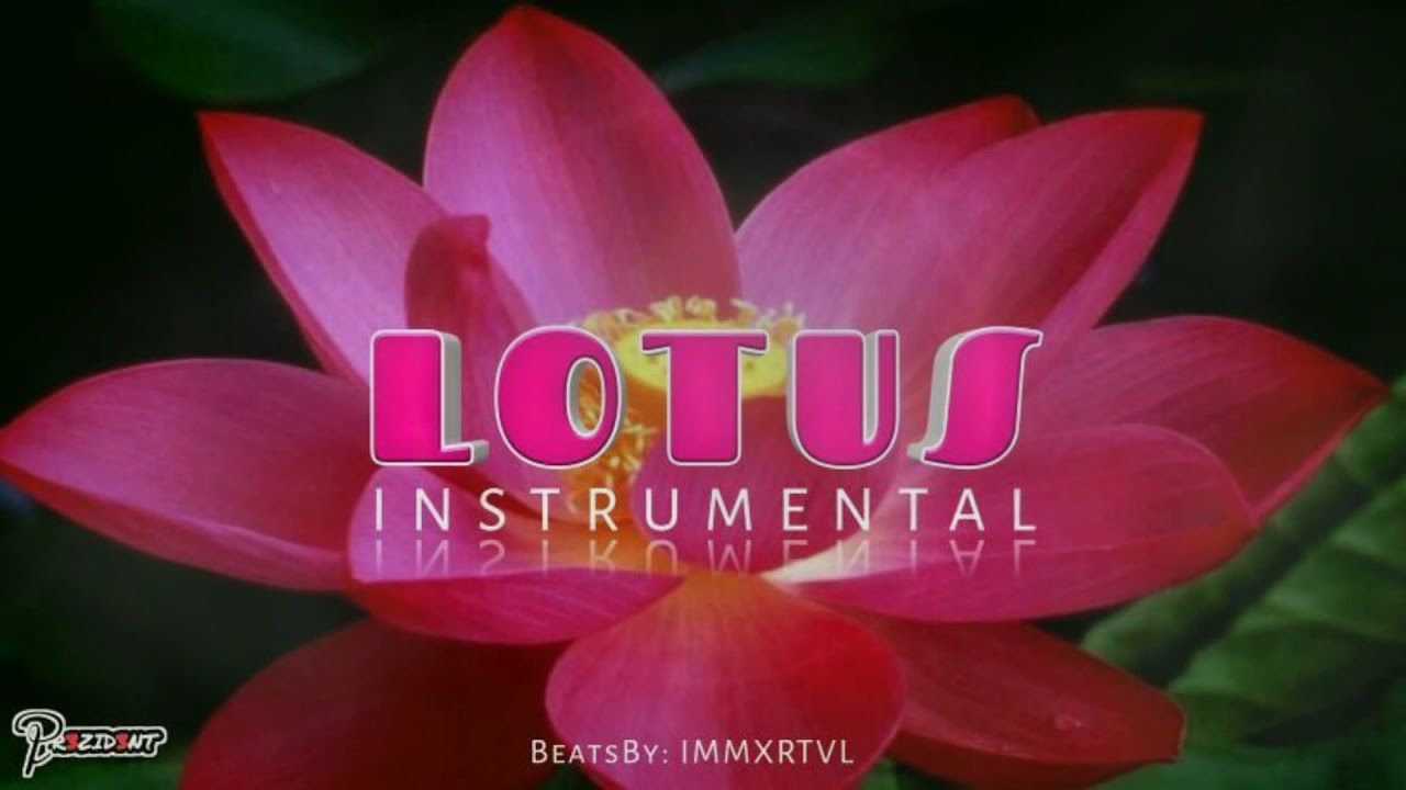 Lotus flower djimboh remix Lotus flower djimboh remix