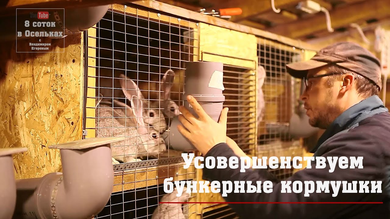 Усовершенствуем бункерные кормушки для кроликов