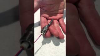 Celebrity Conax Seal Assembly Tutorial Net Worth