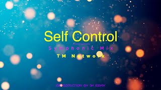 TM NETWORK｜Self Control (Symphonic Mix)【リミックス】 - YouTube