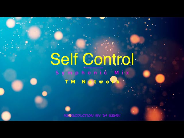 TM NETWORK｜Self Control (Symphonic Mix)【リミックス】 - YouTube