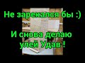 Не зарекался бы :) И снова делаю улей Удав ! Beekeeping.