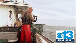'I'm not going to hang around:' Some Maine lobstermen decide to quit over new regulations
