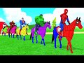 SUPERHERO's Story | SPIDER-MAN NEW HOME & SPIDER-MAN MILES MORALES, IRON MAN FUNNY ANIMATION