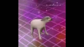 Dance Till Your Dead - Meme (Slowed & Leaned)