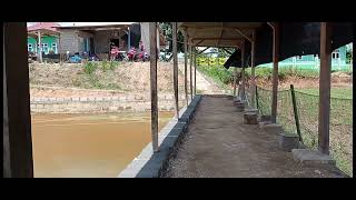 Kolam Pemancingan Lele