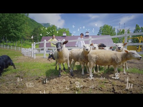 2020 ルスツリゾート - サマーシーズンCM Ver.4