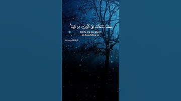 سورة البقرة الآية 286 بصوت الشيخ  محمد الفقيه