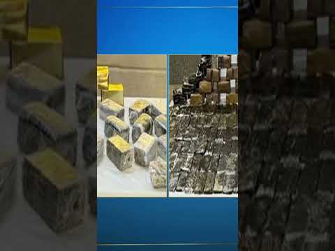 الإبلاغ إلى النيابة العامة عبر تطبيق واتس آب المخصص لهذا الغرض على الرقم 01229869384