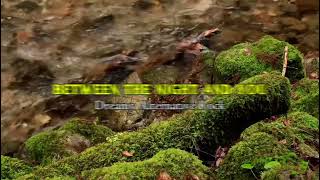 Between the Night and You – Dreamy Alternative Rock / Shoegaze | Atmospheric & Melancholic
