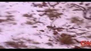 Deer rescue from ice while Molson & Lee watch