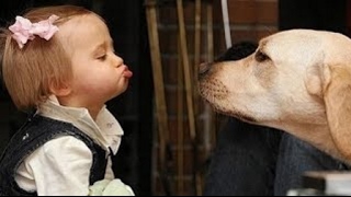 Funny dogs and babies talking   Cute dog & baby compilation by ULTIMATE DOGS 46 views 7 years ago 4 minutes, 12 seconds