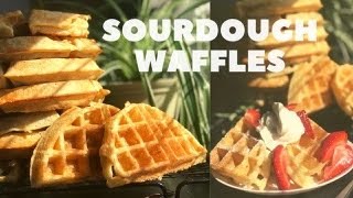 Sourdough Waffles (using your discard) // what to do with your sourdough discard // sourdough series