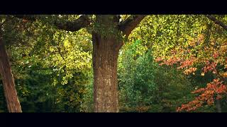 He Leadeth Me | Atmospheric Hymn | Ambient Relaxing Meditative Piano