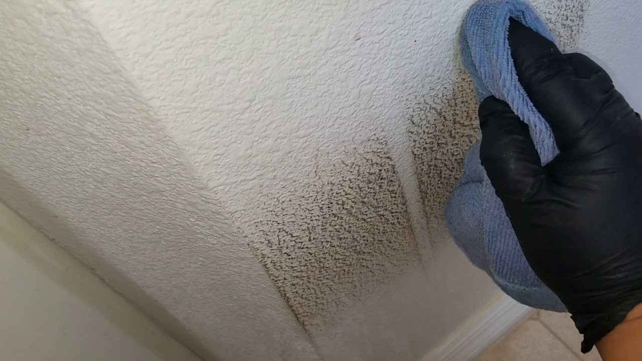 La's Totally Awesome Degreaser 1 really good to remove black stains