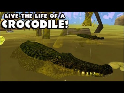 Wildlife Simulator: Crocodile Android Gameplay [HD]