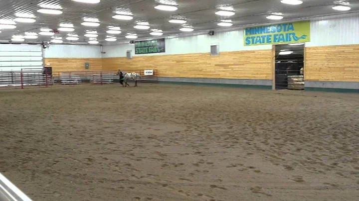Seago Golden Dream Minnesota Horse Expo 4 26 2015 ...