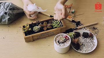 BẠN ĐÃ CÓ GÓC LÀM VIỆC VỪA CHILL VỪA LÀM NHƯ NÀY CHƯA?