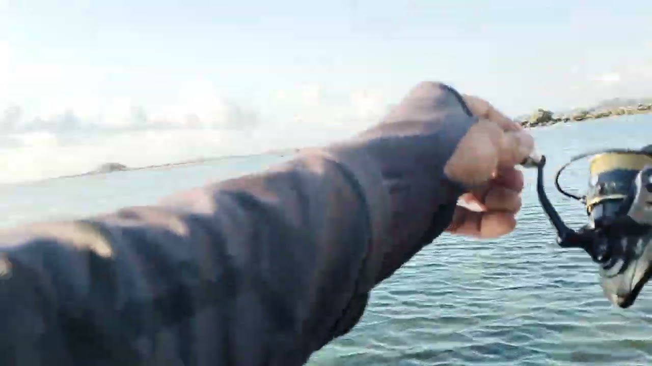 EGING‼️Waktu yang tepat mancing dikandang cumi cumi #bass#fishing#streek#watersport