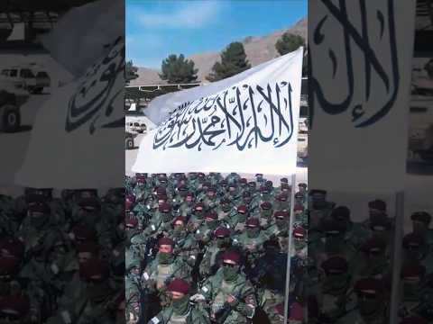 Afghanistan Special forces