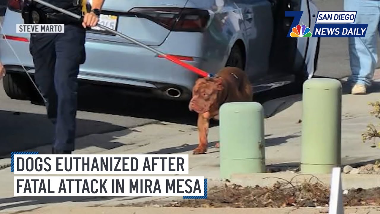 mon-dec-16-dogs-euthanized-after-fatal-attack-on-owner-at-mira-mesa