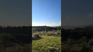 Aşkın 3 Cemresi Vardır..