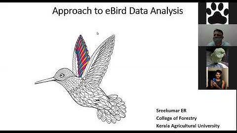 Approach to eBird data analysis: Basics