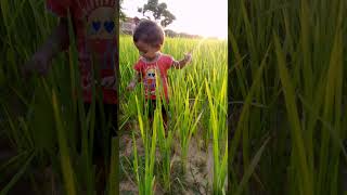 Kati Raat Maine Kheto Me Tu Aye Nhi Cute Baby Short Video